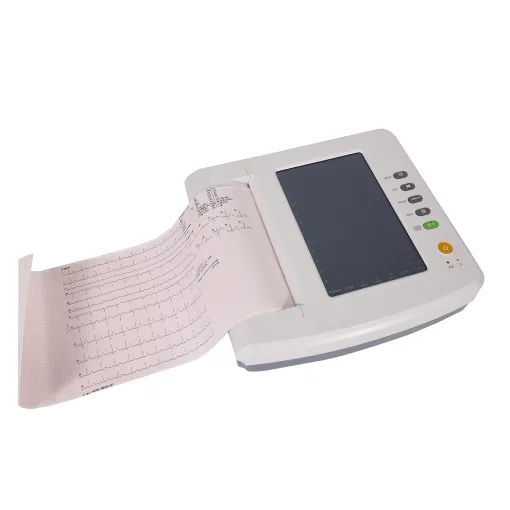 ECG - 12 PISTES MINRAY